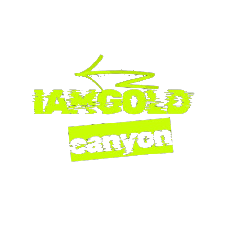 iamgoldcanyon.com | ข้อดีเครื่องเล่นเกมพกพา น่าใช้ไหม